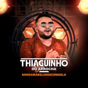 Download track Eu Nem Namoro Thiaguinho Do Arrocha