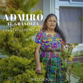 Download track Oh Qué Inmenso Amor (Instrumental) Imelda AjúΟΡΓΑΝΙΚΟ