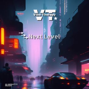 Download track Next Level (Radio Edit) Vibe Therapy