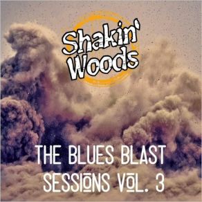 Download track Take A Step Back Shakin' Woods