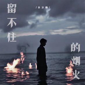 Download track 留不住的烟火 (伴奏) 林泽勋