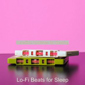 Download track Cultivated Ethnic Lofi - Background For Homework For Sleep