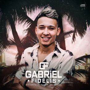 Download track Se Tem Saudade Tem Amor Fidelis Gabriel