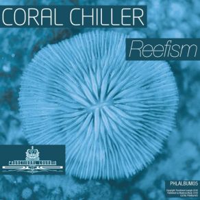 Download track Moonlit Corals Coral Chiller -