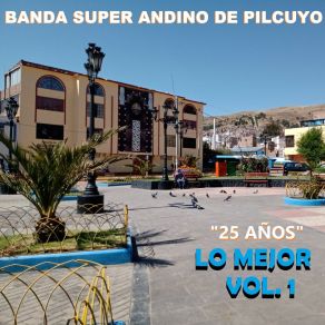 Download track Super Andino Campeón Banda Super Andino De Pilcuyo