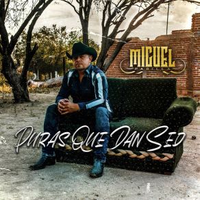 Download track Delante De MI (En Vivo) Miguel Padilla