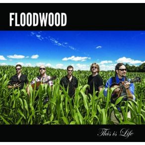 Download track Whiskey After Breakfast Floodwood