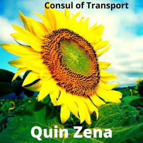 Download track Guardian Of Fools (Instrumental) Quin Zena