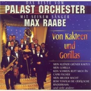 Download track Mein Bruder Macht Beim Tonfilm Die Geräusche Max Raabe, Palast Orchester