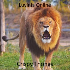 Download track Una Vittima Di Tontolini Crispy Thongs