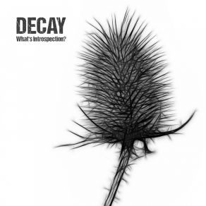 Download track None Of Us Decay