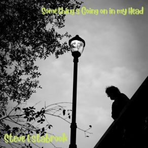 Download track Something's Going On In My Head Steve Estabrook