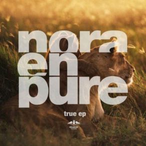 Download track True (Original Mix) Nora En Pure