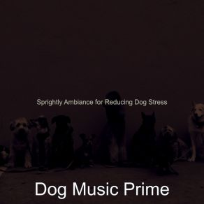 Download track Background For Doggy Training Dog Music Prime