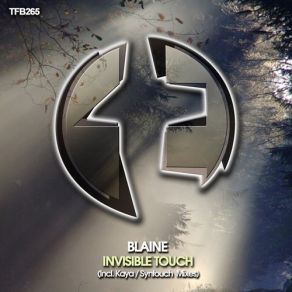 Download track Invisible Touch (Syntouch Remix) Blaine