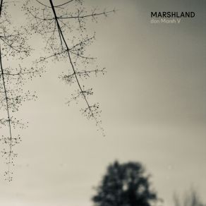 Download track Marshland III - Mist Don Marsh V