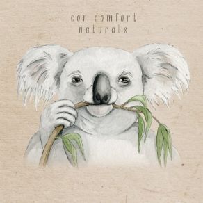 Download track Polar Lights Clap Cotton