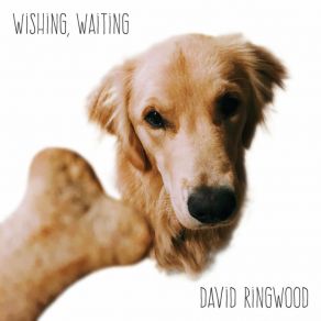 Download track These Friends Of Mine David Ringwood