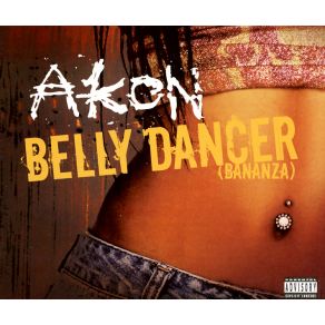 Download track Belly Dancer (Bananza) (Instrumental)  Akon