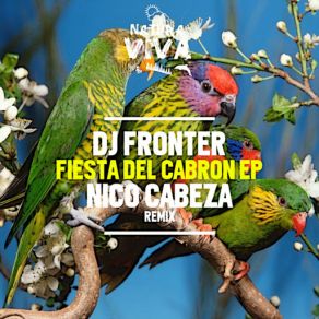 Download track Warning (Nico Cabeza Remix) DJ Fronter