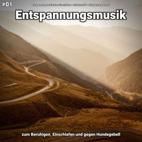 Download track Entspannungsmusik Pt. 1 Entspannungsmusik