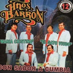 Download track Cumbia Gitana Hnos. Barrón