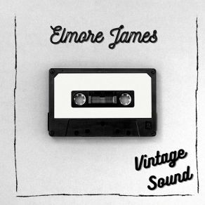 Download track Rock My Baby Right Elmore James