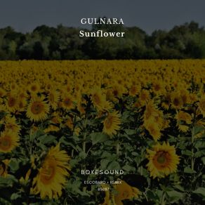 Download track Sunflower (Original Mix) Gulnara