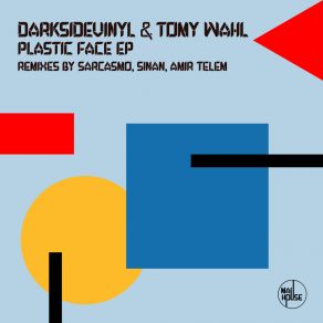 Download track Plastic Face (Amir Telem Remix) DarksidevinylAmir Telem