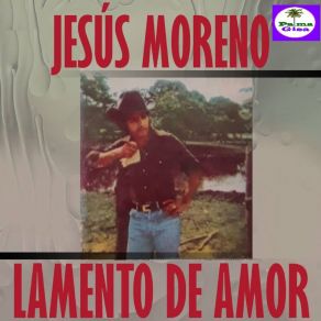 Download track Llano En Primavera Jesus Moreno