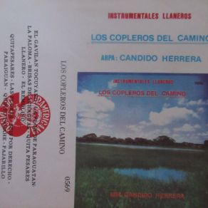 Download track El Remolino Los Copleros