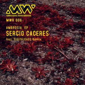 Download track Elemento (Original Mix) Sergio Caceres