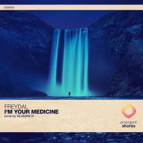 Download track I'm Your Medicine (Original Mix) Freydal