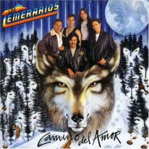 Download track Pobre Tonto Enamorado Los Temerarios