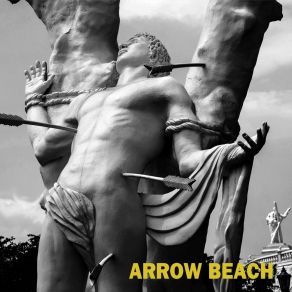 Download track Little T Arrow Beach