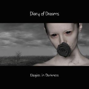 Download track An Empty House Diary Of Dreams
