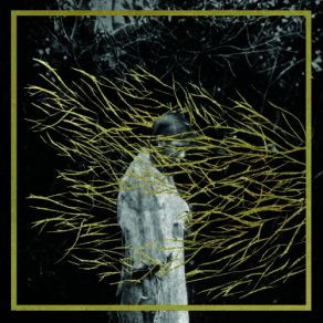 Download track Irby Tremor Forest Swords