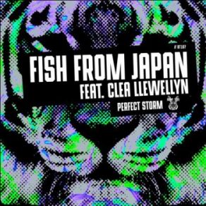 Download track Perfect Storm (Club Dub) Fish From Japan