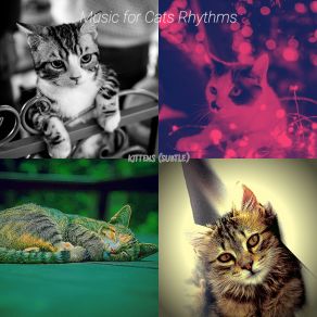 Download track Dreams (Cats) Music For Cats RhythmsThe Cats