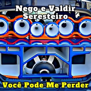 Download track Pássaro De Fogo (Cover) Nego E Valdir Seresteiro