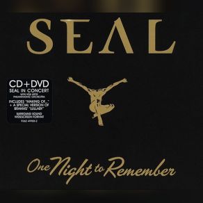 Download track Dont Let It Bring You Down Seal