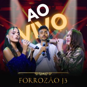 Download track Oi Erro Forrozão J3