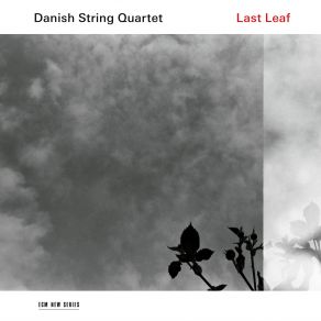 Download track Drømte Mig En Drøm Danish String Quartet