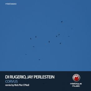 Download track Corvus (Original Mix) Jay Perlestein