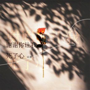 Download track 谢谢你让我死了心 (伴奏) 成蹊