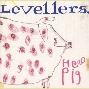 Download track Happy Birthday Revolution Levellers