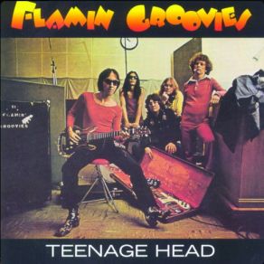 Download track Shakin' All Over The Flamin' Groovies