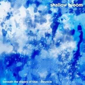 Download track Beneath The Shades Of Blue Shallow Bloom