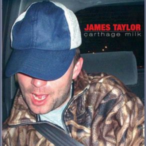 Download track Never Really Wanted To Be Like You James Taylor