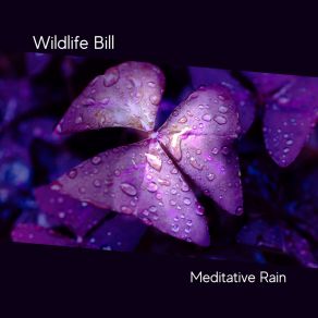 Download track Conservatory Rain Wildlife Bill